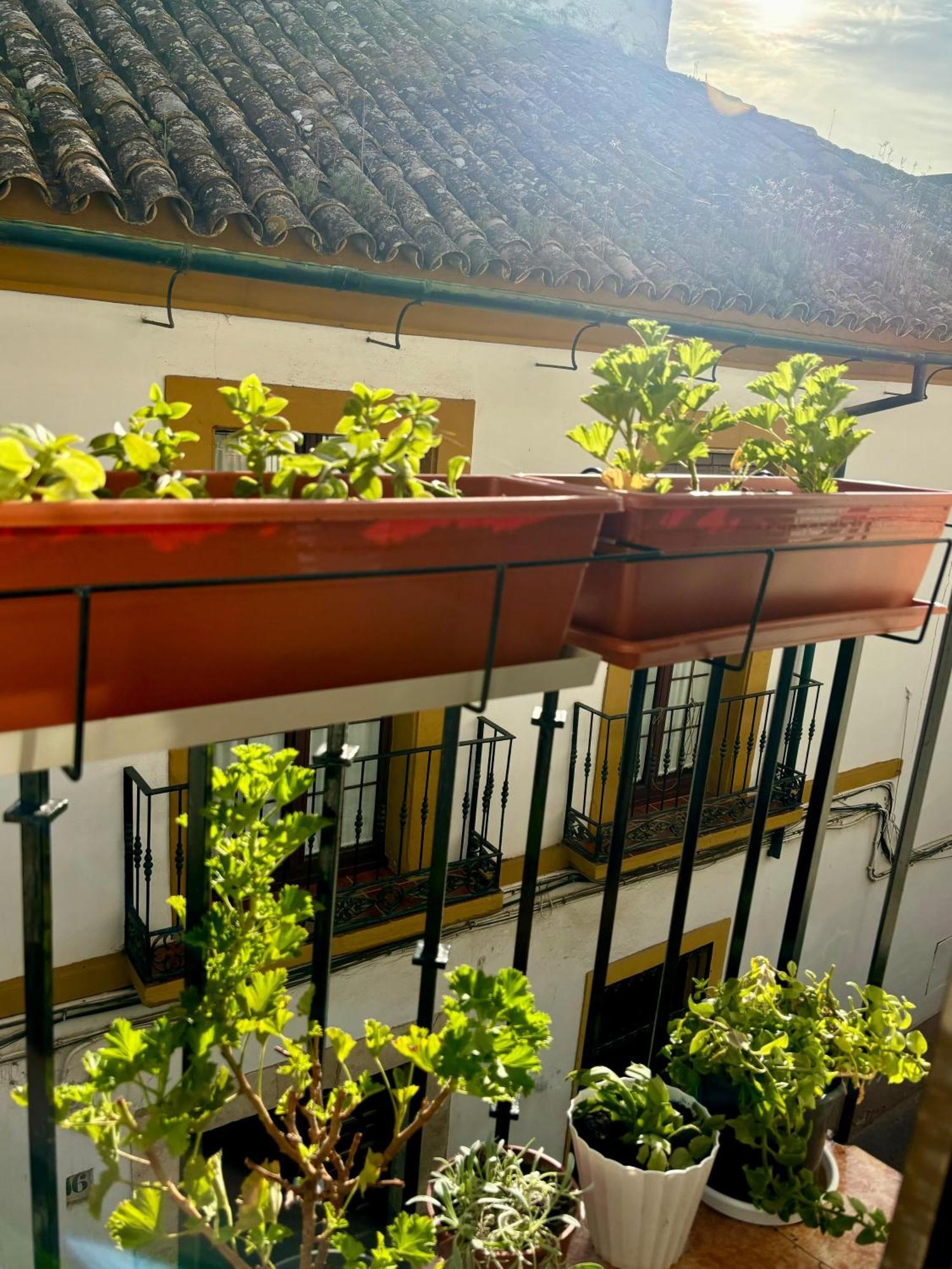 Apartamento La Buganvilla De Santiago